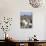 Mother and Baby Alpaca with Catholic Church in the Distance, Village of Mauque, Chile-Lin Alder-Photographic Print displayed on a wall