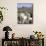 Mother and Baby Alpaca with Catholic Church in the Distance, Village of Mauque, Chile-Lin Alder-Mounted Photographic Print displayed on a wall