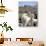 Mother and Baby Alpaca with Catholic Church in the Distance, Village of Mauque, Chile-Lin Alder-Photographic Print displayed on a wall