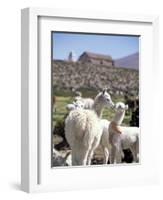 Mother and Baby Alpaca with Catholic Church in the Distance, Village of Mauque, Chile-Lin Alder-Framed Photographic Print