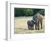 Mother and Baby Asian Elephants at Minneriya National Park, Sri Lanka, Asia-Kim Walker-Framed Photographic Print