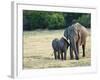 Mother and Baby Asian Elephants at Minneriya National Park, Sri Lanka, Asia-Kim Walker-Framed Photographic Print