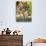 Mother and Baby Donkeys on Salt Cay Island, Turks and Caicos, Caribbean-Walter Bibikow-Photographic Print displayed on a wall