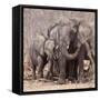 Mother and Baby Elephant Preparing for a Dust Bath, Chobe National Park, Botswana-Wendy Kaveney-Framed Stretched Canvas