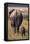 Mother and Baby Elephant-DLILLC-Framed Stretched Canvas