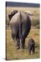 Mother and Baby Elephant-DLILLC-Stretched Canvas