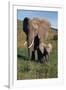 Mother and Baby Elephant-DLILLC-Framed Premium Photographic Print