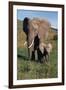 Mother and Baby Elephant-DLILLC-Framed Premium Photographic Print