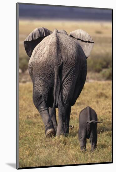 Mother and Baby Elephant-DLILLC-Mounted Photographic Print