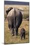 Mother and Baby Elephant-DLILLC-Mounted Photographic Print