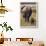 Mother and Baby Elephant-DLILLC-Framed Photographic Print displayed on a wall