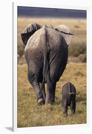 Mother and Baby Elephant-DLILLC-Framed Photographic Print