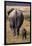 Mother and Baby Elephant-DLILLC-Framed Photographic Print