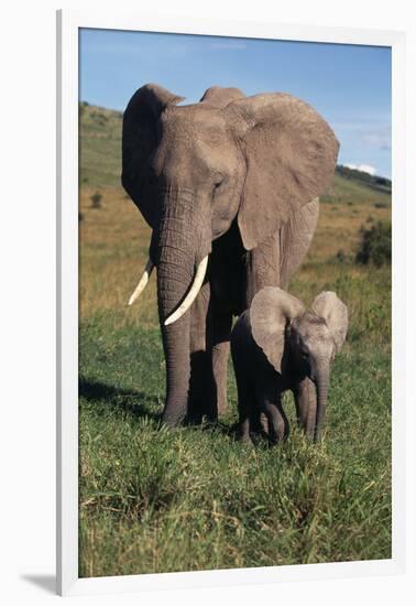 Mother and Baby Elephant-DLILLC-Framed Photographic Print