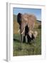 Mother and Baby Elephant-DLILLC-Framed Photographic Print