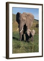 Mother and Baby Elephant-DLILLC-Framed Photographic Print