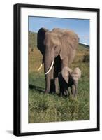 Mother and Baby Elephant-DLILLC-Framed Photographic Print