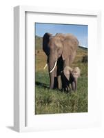 Mother and Baby Elephant-DLILLC-Framed Photographic Print