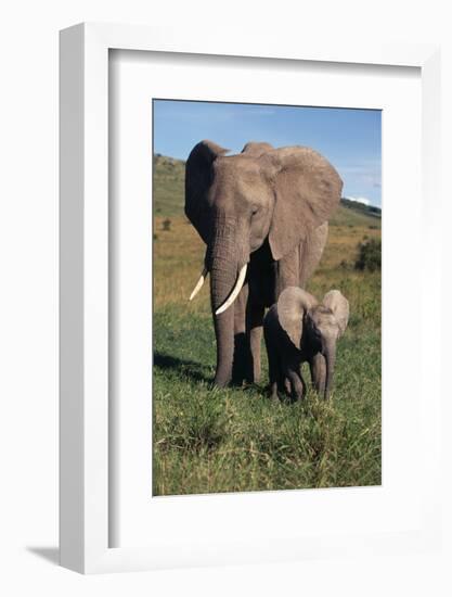 Mother and Baby Elephant-DLILLC-Framed Photographic Print