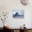Mother and baby gentoo penguins-Kevin Schafer-Stretched Canvas displayed on a wall