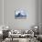 Mother and baby gentoo penguins-Kevin Schafer-Stretched Canvas displayed on a wall