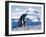 Mother and baby gentoo penguins-Kevin Schafer-Framed Premium Photographic Print