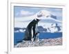 Mother and baby gentoo penguins-Kevin Schafer-Framed Photographic Print