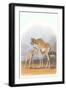 Mother and Baby Giraffe-null-Framed Art Print