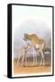 Mother and Baby Giraffe-null-Framed Stretched Canvas