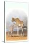 Mother and Baby Giraffe-null-Stretched Canvas