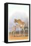 Mother and Baby Giraffe-null-Framed Stretched Canvas