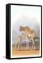 Mother and Baby Giraffe-null-Framed Stretched Canvas