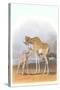 Mother and Baby Giraffe-null-Stretched Canvas