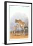 Mother and Baby Giraffe-null-Framed Art Print