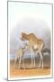 Mother and Baby Giraffe-null-Mounted Art Print