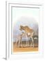 Mother and Baby Giraffe-null-Framed Art Print