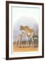 Mother and Baby Giraffe-null-Framed Art Print