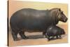 Mother and Baby Hippo-null-Stretched Canvas