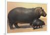 Mother and Baby Hippo-null-Framed Art Print