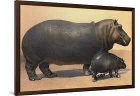 Mother and Baby Hippo-null-Framed Art Print