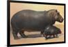 Mother and Baby Hippo-null-Framed Art Print