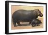 Mother and Baby Hippo-null-Framed Premium Giclee Print