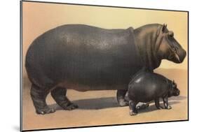 Mother and Baby Hippo-null-Mounted Premium Giclee Print