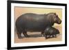 Mother and Baby Hippo-null-Framed Art Print