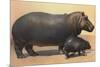 Mother and Baby Hippo-null-Mounted Art Print