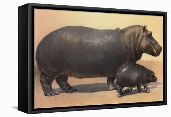 Mother and Baby Hippo-null-Framed Stretched Canvas