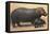 Mother and Baby Hippo-null-Framed Stretched Canvas