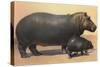 Mother and Baby Hippo-null-Stretched Canvas