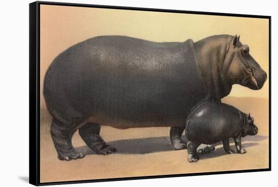 Mother and Baby Hippo-null-Framed Stretched Canvas