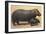 Mother and Baby Hippo-null-Framed Art Print